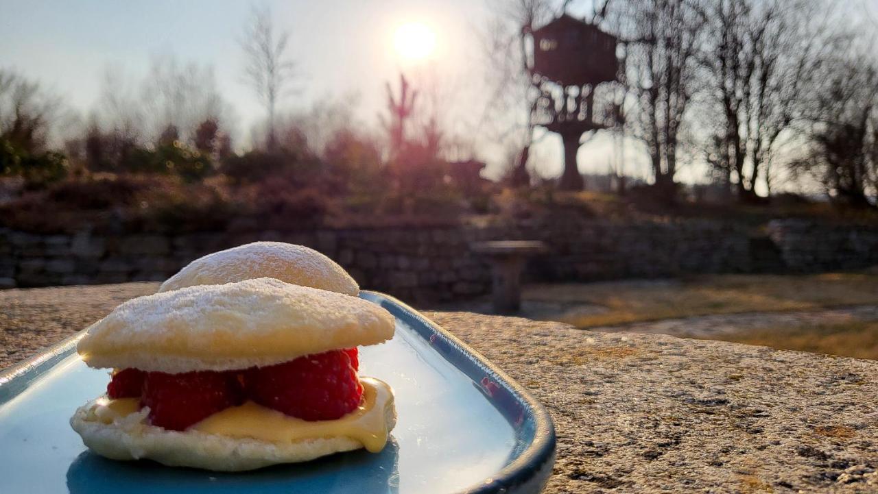 Matejovec38 Bed & Breakfast Slavonice Eksteriør bilde
